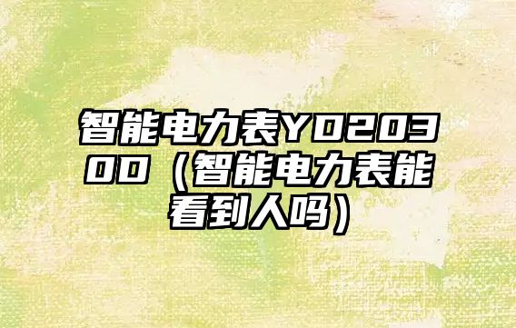 智能電力表YD2030D（智能電力表能看到人嗎）