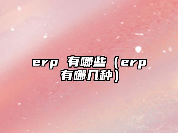 erp 有哪些（erp有哪幾種）