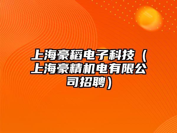 上海豪稻電子科技（上海豪精機電有限公司招聘）