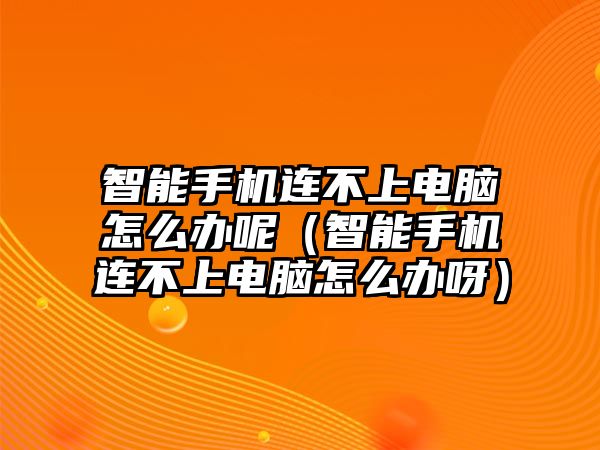 智能手機(jī)連不上電腦怎么辦呢（智能手機(jī)連不上電腦怎么辦呀）