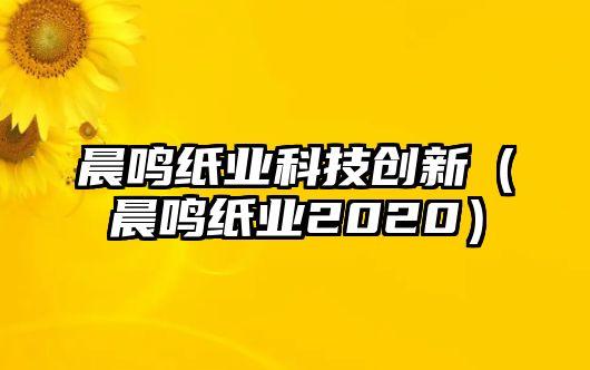 晨鳴紙業(yè)科技創(chuàng)新（晨鳴紙業(yè)2020）