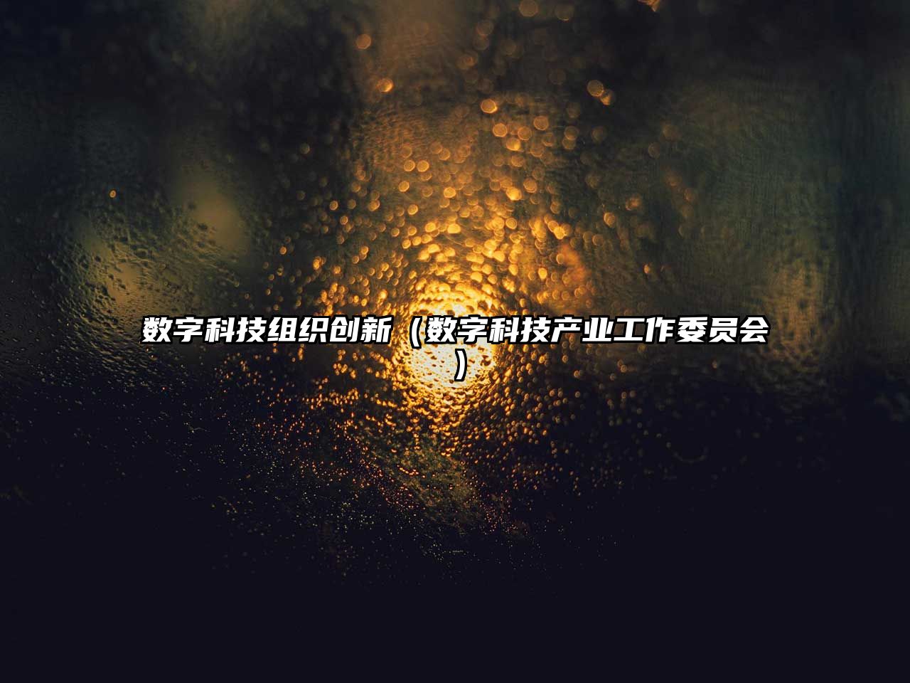 數(shù)字科技組織創(chuàng)新（數(shù)字科技產(chǎn)業(yè)工作委員會(huì)）