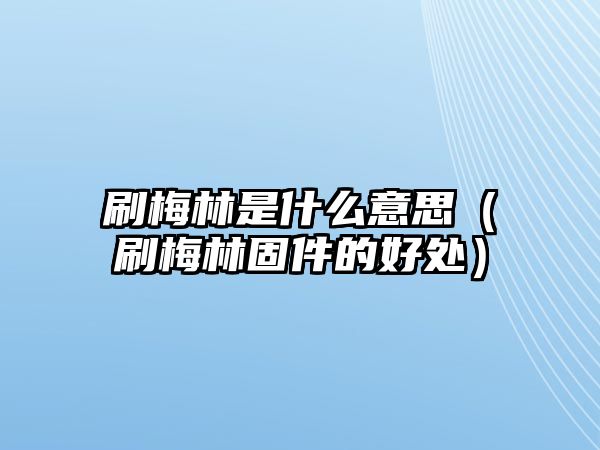 刷梅林是什么意思（刷梅林固件的好處）