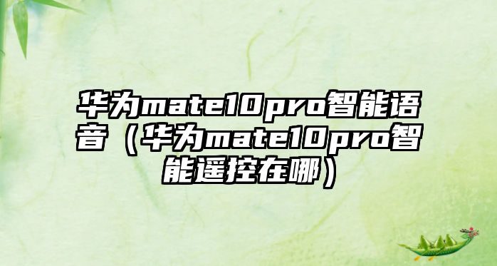 華為mate10pro智能語音（華為mate10pro智能遙控在哪）