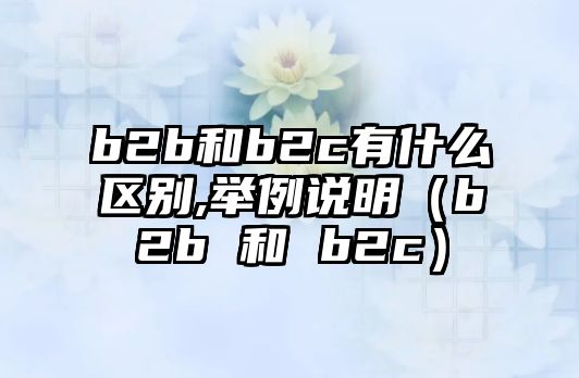 b2b和b2c有什么區(qū)別,舉例說(shuō)明（b2b 和 b2c）