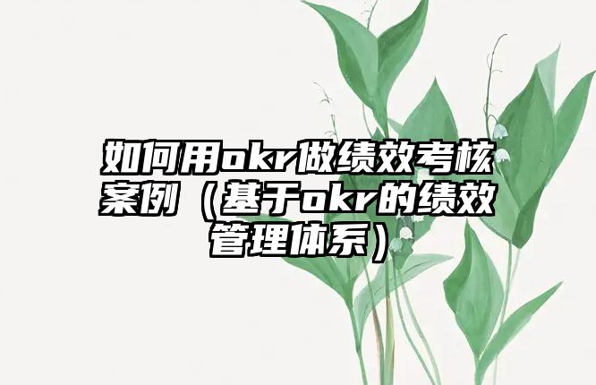 如何用okr做績效考核案例（基于okr的績效管理體系）