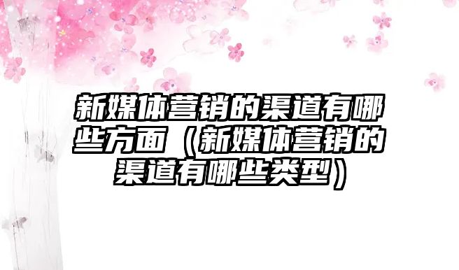 新媒體營銷的渠道有哪些方面（新媒體營銷的渠道有哪些類型）