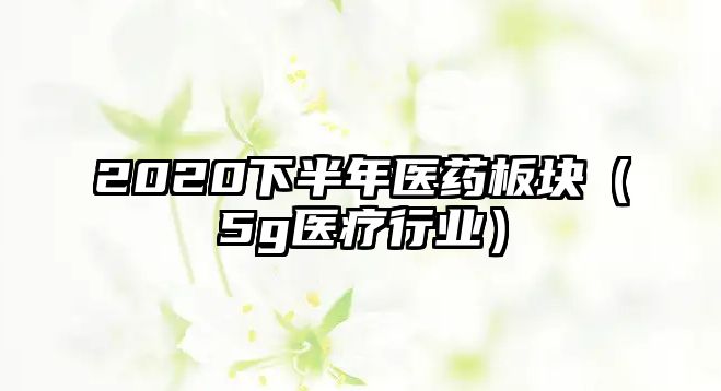 2020下半年醫(yī)藥板塊（5g醫(yī)療行業(yè)）