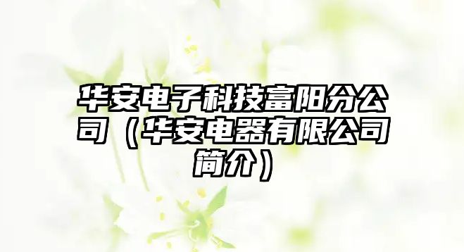 華安電子科技富陽分公司（華安電器有限公司簡介）