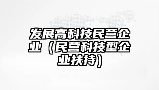 發(fā)展高科技民營企業(yè)（民營科技型企業(yè)扶持）