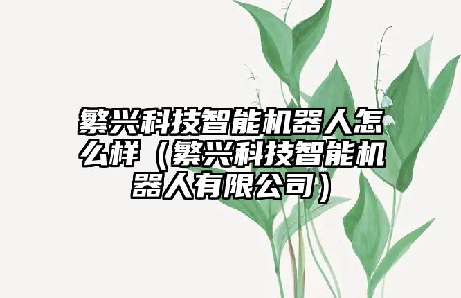 繁興科技智能機器人怎么樣（繁興科技智能機器人有限公司）