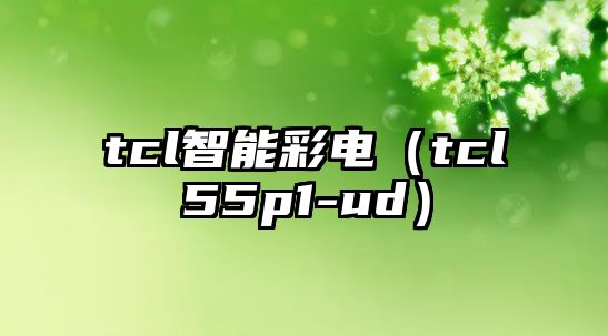 tcl智能彩電（tcl55p1-ud）