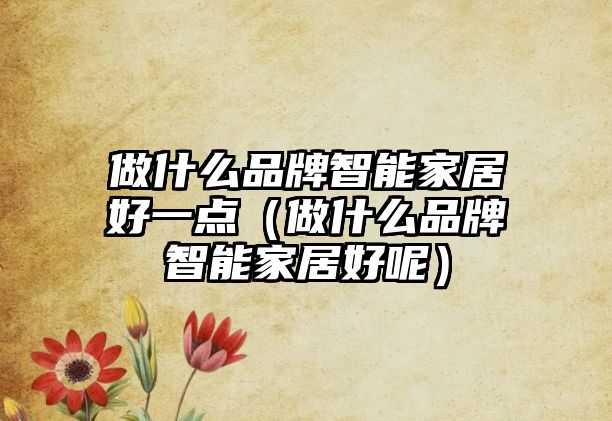 做什么品牌智能家居好一點(diǎn)（做什么品牌智能家居好呢）