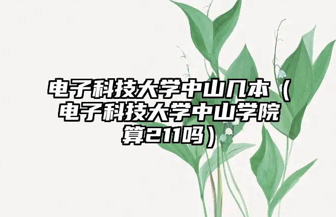 電子科技大學(xué)中山幾本（電子科技大學(xué)中山學(xué)院算211嗎）