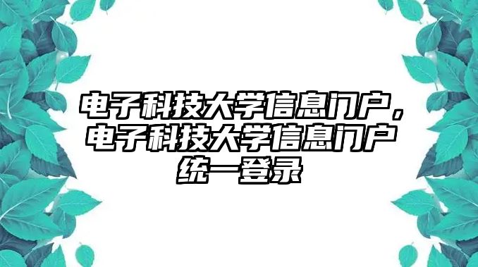 電子科技大學信息門戶，電子科技大學信息門戶統(tǒng)一登錄