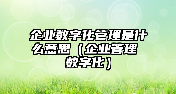 企業(yè)數(shù)字化管理是什么意思（企業(yè)管理 數(shù)字化）