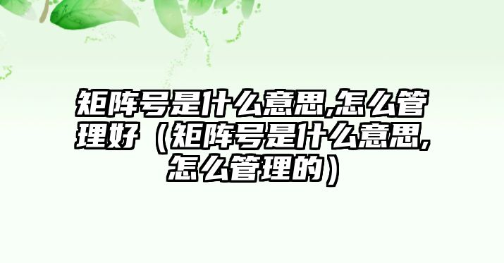 矩陣號(hào)是什么意思,怎么管理好（矩陣號(hào)是什么意思,怎么管理的）