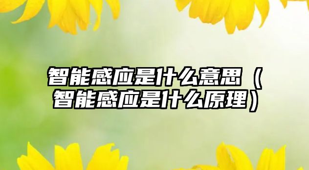 智能感應(yīng)是什么意思（智能感應(yīng)是什么原理）