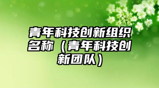 青年科技創(chuàng)新組織名稱（青年科技創(chuàng)新團(tuán)隊(duì)）