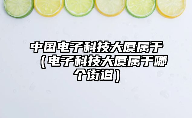 中國(guó)電子科技大廈屬于（電子科技大廈屬于哪個(gè)街道）