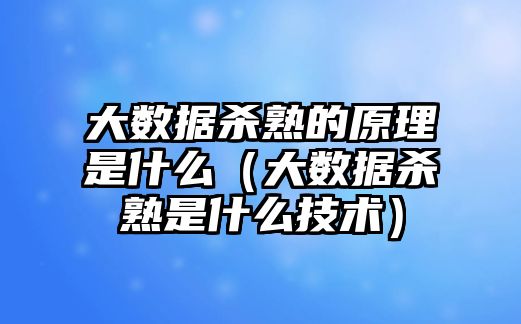 大數據殺熟的原理是什么（大數據殺熟是什么技術）