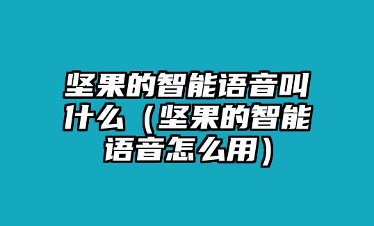 堅(jiān)果的智能語音叫什么（堅(jiān)果的智能語音怎么用）