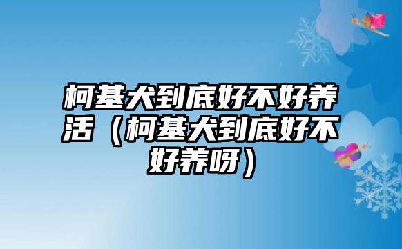 柯基犬到底好不好養(yǎng)活（柯基犬到底好不好養(yǎng)呀）