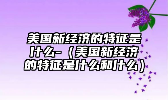 美國(guó)新經(jīng)濟(jì)的特征是什么-（美國(guó)新經(jīng)濟(jì)的特征是什么和什么）