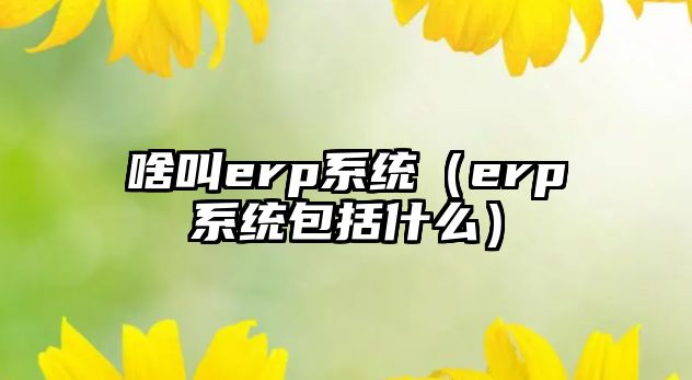 啥叫erp系統(tǒng)（erp系統(tǒng)包括什么）