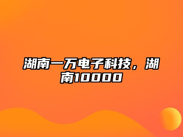 湖南一萬電子科技，湖南10000