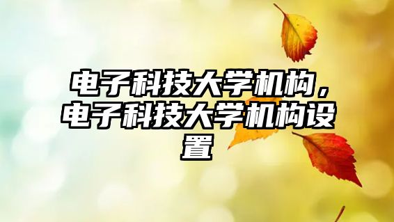 電子科技大學(xué)機構(gòu)，電子科技大學(xué)機構(gòu)設(shè)置