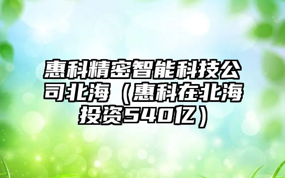 惠科精密智能科技公司北海（惠科在北海投資540億）