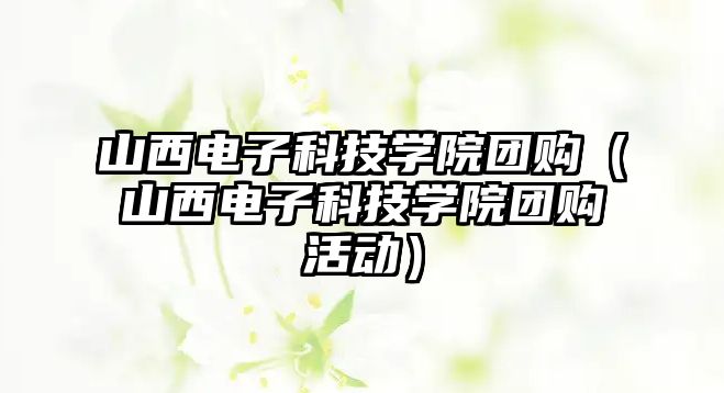 山西電子科技學(xué)院團(tuán)購（山西電子科技學(xué)院團(tuán)購活動）