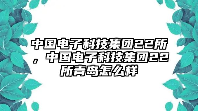 中國(guó)電子科技集團(tuán)22所，中國(guó)電子科技集團(tuán)22所青島怎么樣