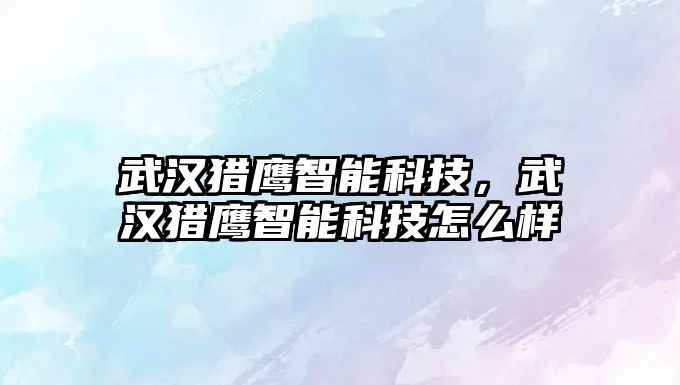 武漢獵鷹智能科技，武漢獵鷹智能科技怎么樣