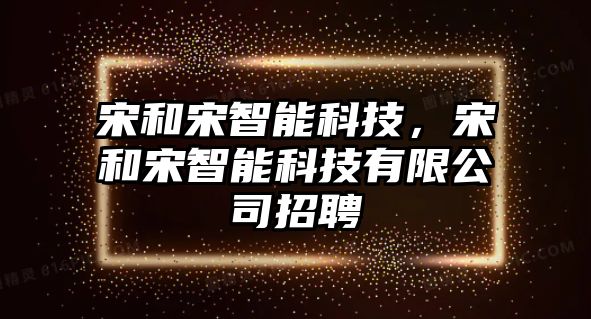 宋和宋智能科技，宋和宋智能科技有限公司招聘