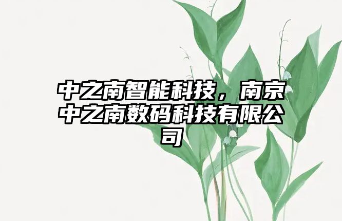 中之南智能科技，南京中之南數(shù)碼科技有限公司