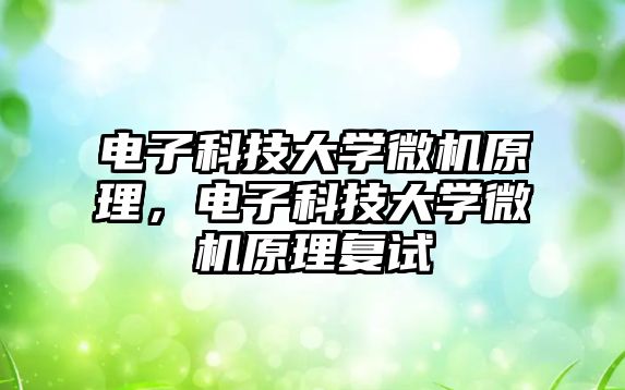 電子科技大學(xué)微機原理，電子科技大學(xué)微機原理復(fù)試