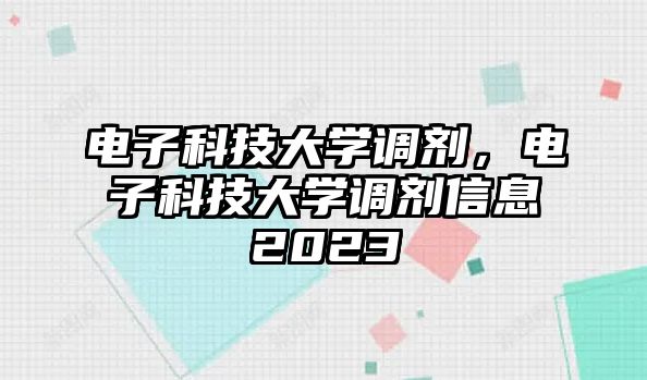 電子科技大學(xué)調(diào)劑，電子科技大學(xué)調(diào)劑信息2023