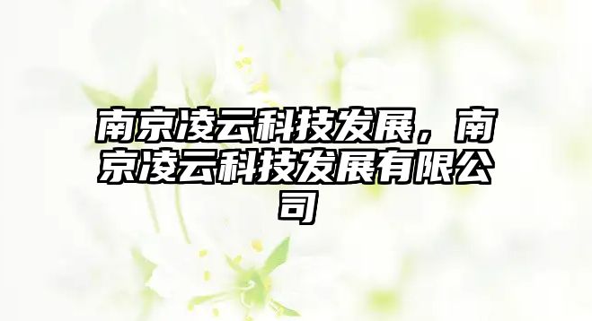 南京凌云科技發(fā)展，南京凌云科技發(fā)展有限公司