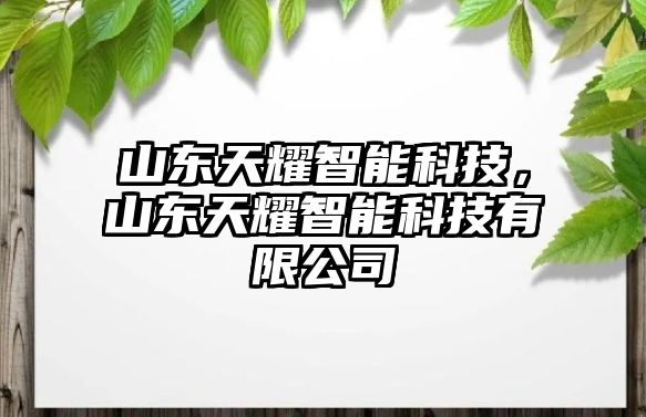 山東天耀智能科技，山東天耀智能科技有限公司