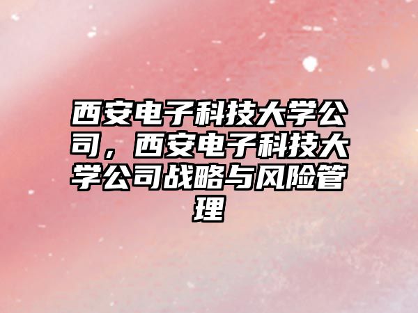 西安電子科技大學(xué)公司，西安電子科技大學(xué)公司戰(zhàn)略與風(fēng)險管理