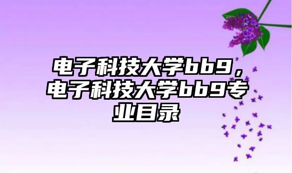 電子科技大學(xué)bb9，電子科技大學(xué)bb9專業(yè)目錄