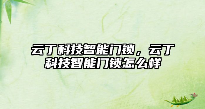 云丁科技智能門鎖，云丁科技智能門鎖怎么樣