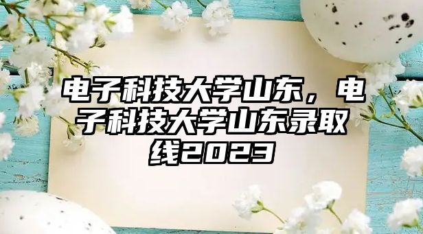 電子科技大學山東，電子科技大學山東錄取線2023