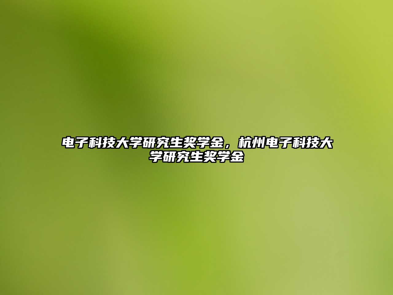 電子科技大學(xué)研究生獎(jiǎng)學(xué)金，杭州電子科技大學(xué)研究生獎(jiǎng)學(xué)金