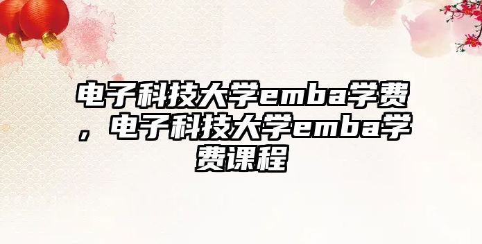 電子科技大學(xué)emba學(xué)費，電子科技大學(xué)emba學(xué)費課程