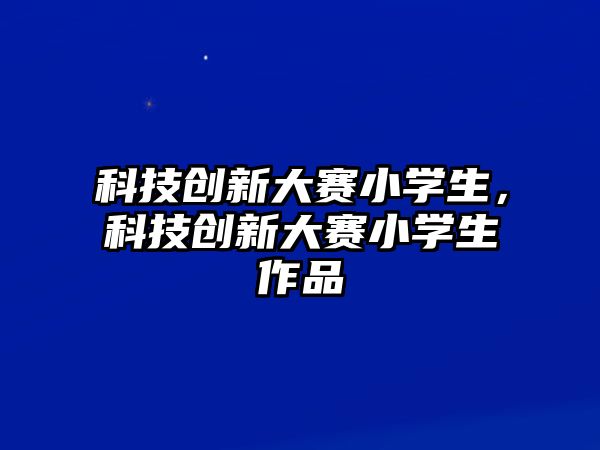 科技創(chuàng)新大賽小學(xué)生，科技創(chuàng)新大賽小學(xué)生作品