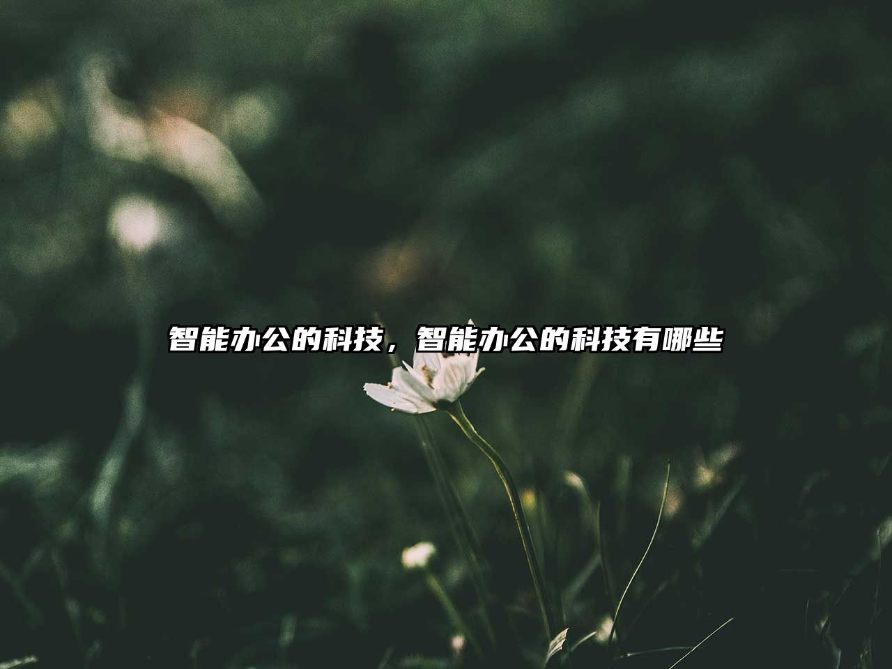 智能辦公的科技，智能辦公的科技有哪些