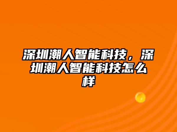 深圳潮人智能科技，深圳潮人智能科技怎么樣